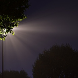 London/Forest Hill/DSC_6169_edited.JPG